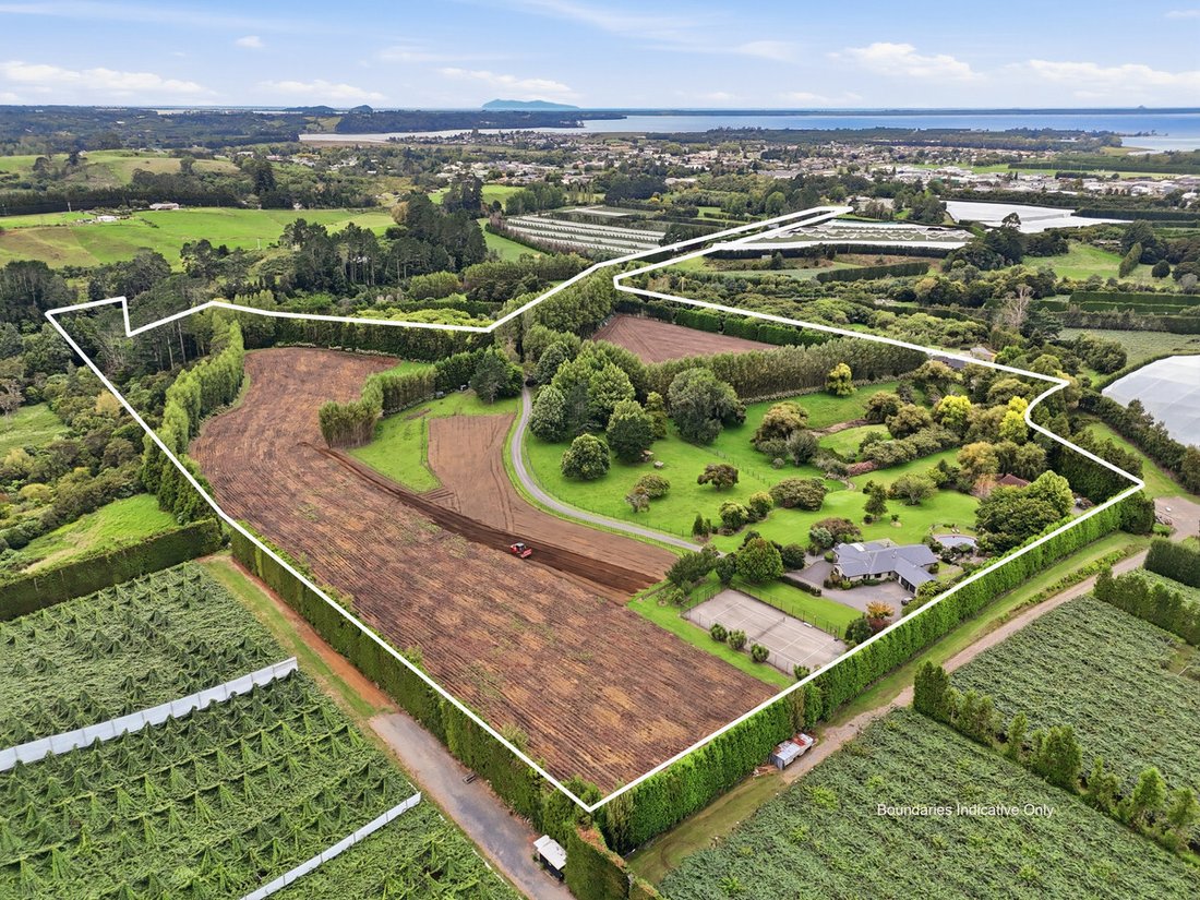 Farm Ranch in Katikati, Bay of Plenty, New Zealand 1 - 18057865