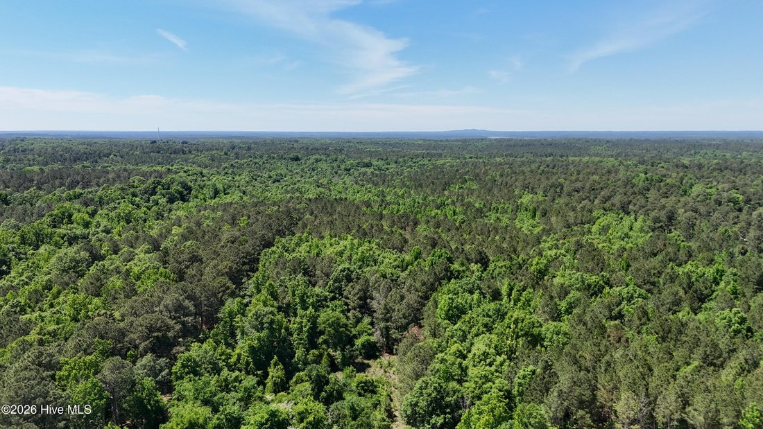 Land in Appling, Georgia, United States 3 - 18059671