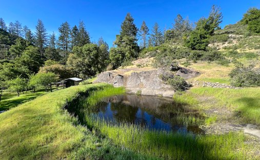 Land in Calistoga, Kalifornien, Vereinigte Staaten 1
