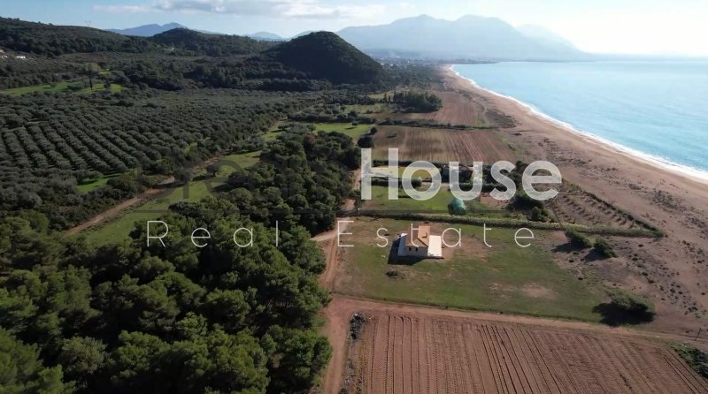Land in Trifylia, Peloponnese, Western Greece and the Ionian, Greece 4 - 18061066