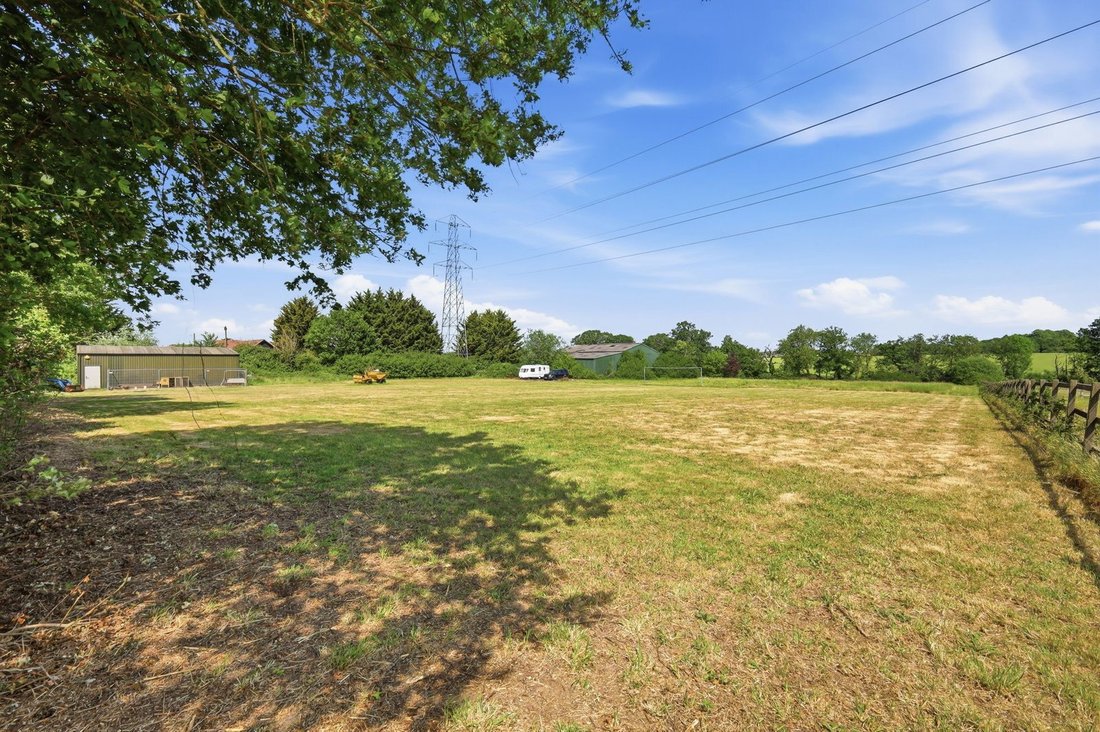 Sandon, England 1 - 18061083