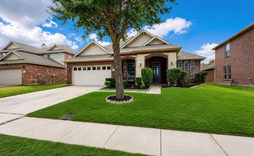 House in The Colony, Texas, United States 1
