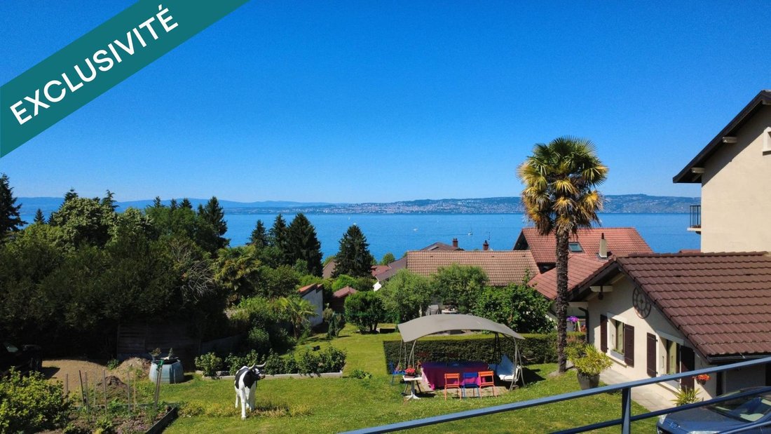 House in Evian-les-Bains, Auvergne-Rhône-Alpes, France 1 - 18062366