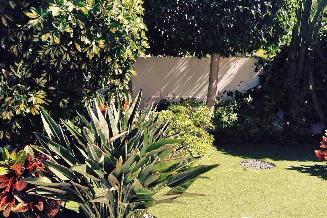 Townhouse in Costa Adeje, Adeje, Canary Islands 5 - 18063437