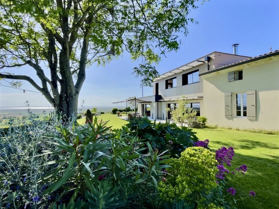House in Mortagne-sur-Gironde, Nouvelle-Aquitaine, France 1 - 18062852