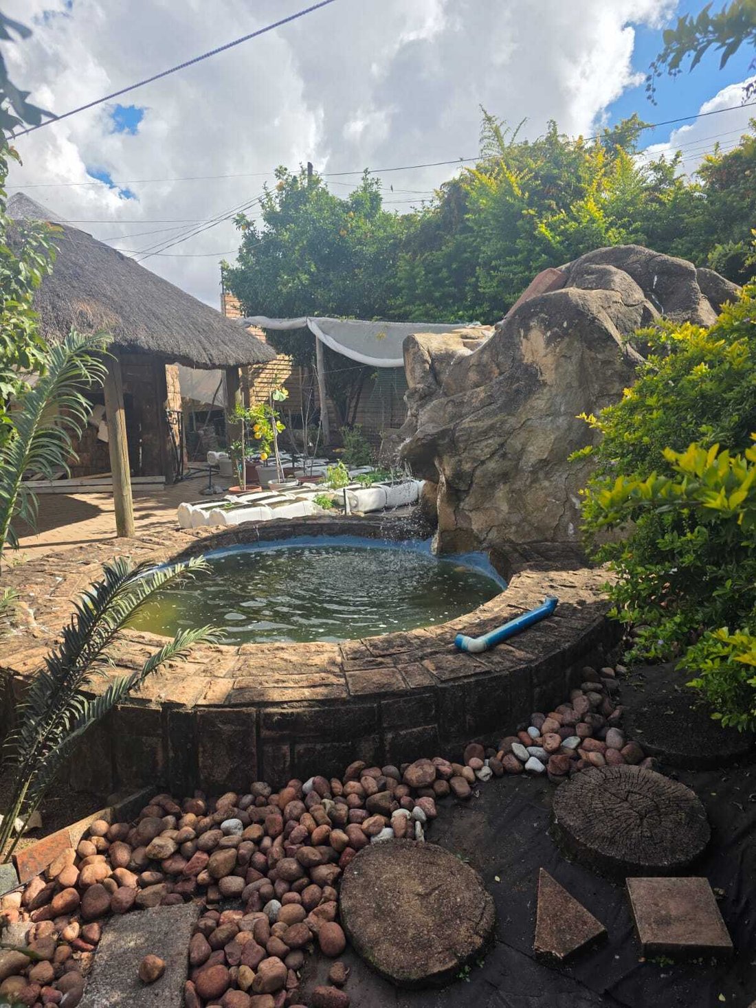 Country House in Elandspoort, Gauteng, South Africa 3 - 18061975