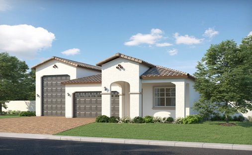 House in Queen Creek, Arizona, United States 1