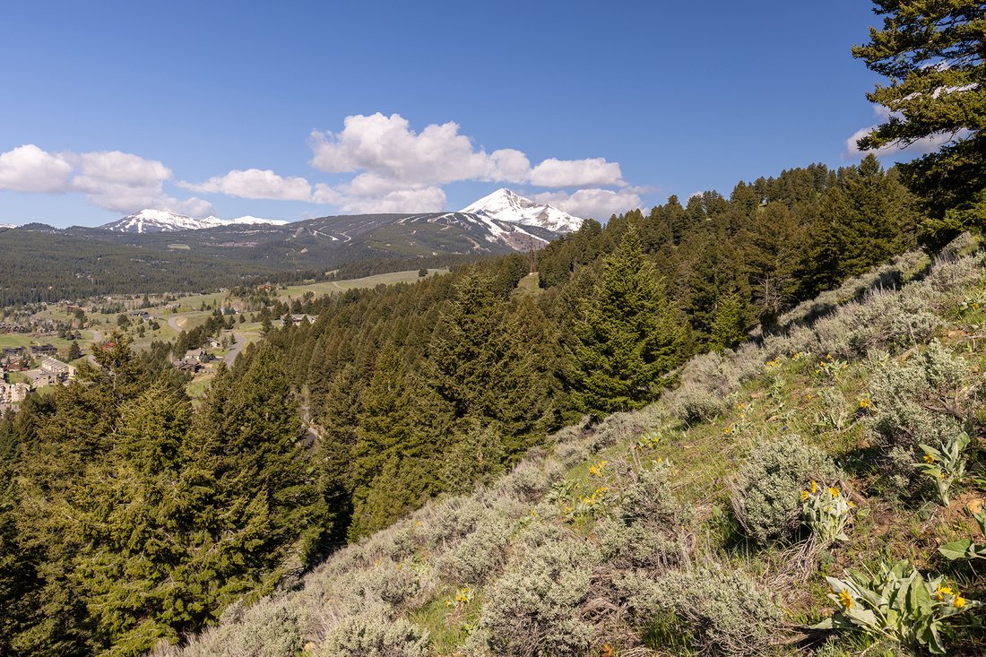 Land in Gallatin Gateway, Montana, United States 1 - 18061737
