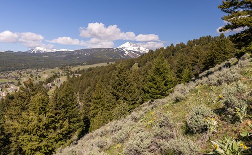 Land in Gallatin Gateway, Montana, United States 1
