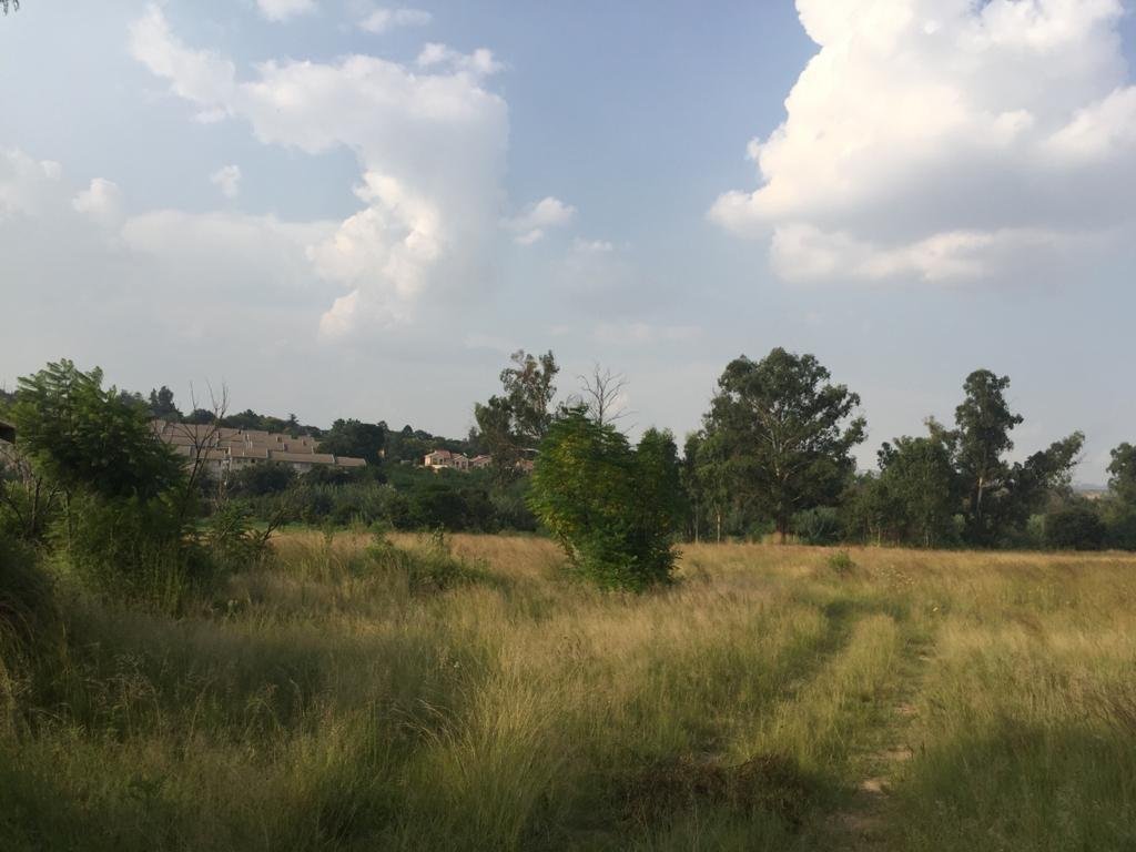Land in Buccleuch, Greenstone Hill, Gauteng 4 - 18062003