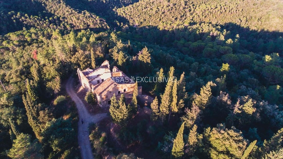 Farm Ranch in Girona, Katalonien, Spanien 1 - 12968682