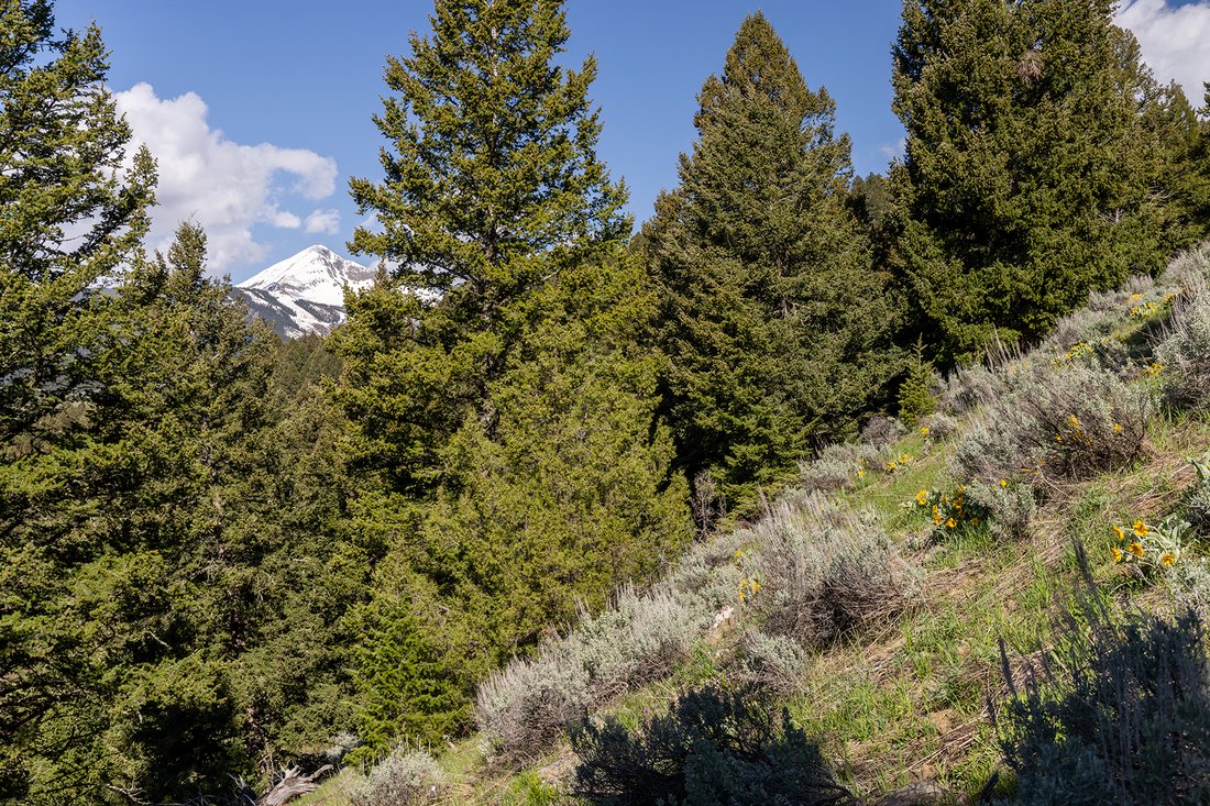 Land in Gallatin Gateway, Montana, United States 4 - 18061737
