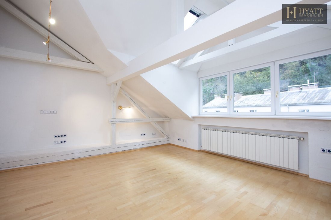 Penthouse in Salzburg, Salzburg, Austria 3 - 18061779