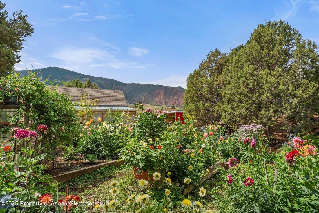 House in El Jebel, Colorado, United States 5 - 18061189