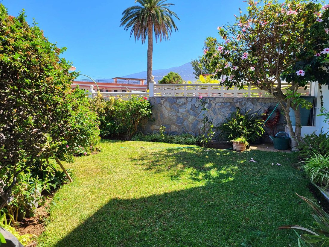 Villa in Puerto de la Cruz, Canary Islands, Spain 3 - 18005122