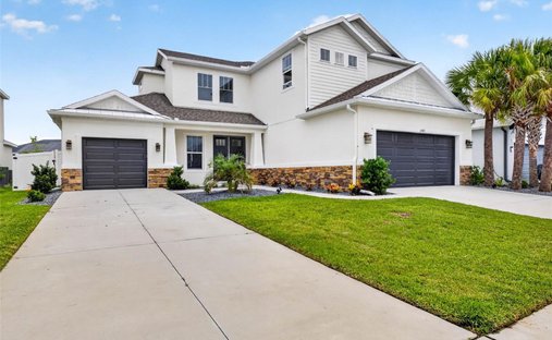 House in Wesley Chapel, Florida, United States 1