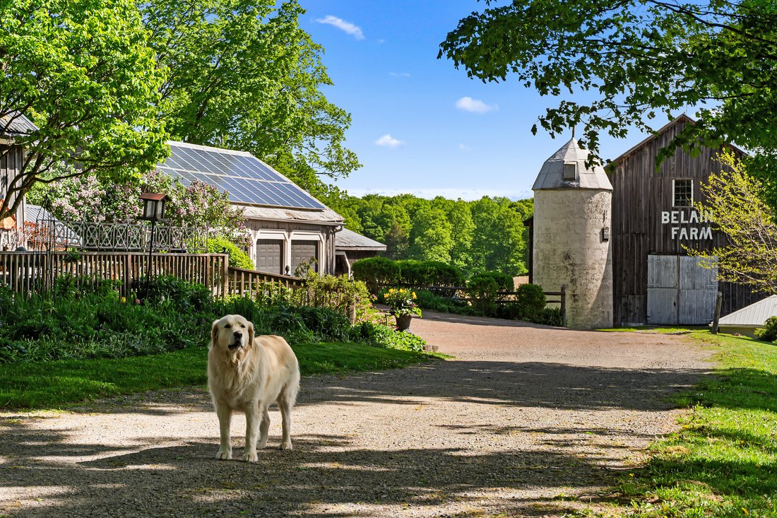 Farm Ranch in Alton, Ontario, Canada 2 - 17851066