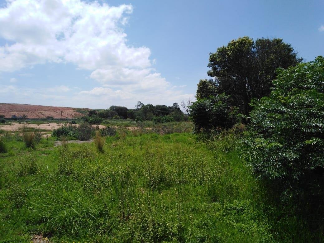 Land in Sandton, Gauteng, South Africa 4 - 18062006