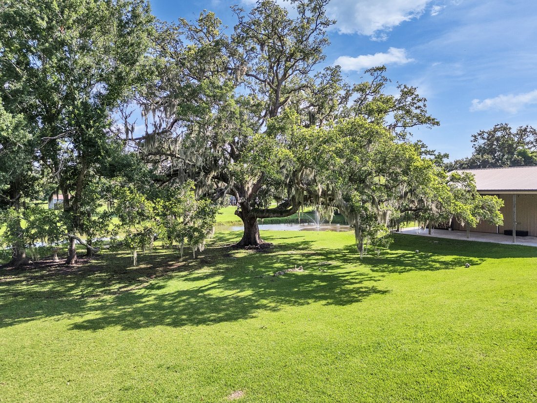 House in Angleton, Texas, United States 3 - 16689672