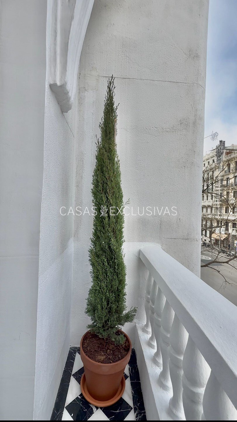 Apartment in Retiro, Madrid, Spain 3 - 15304789