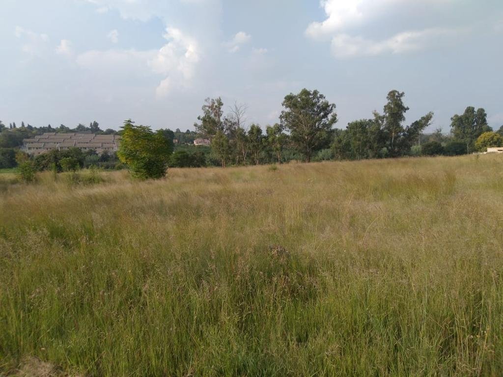 Land in Buccleuch, Greenstone Hill, Gauteng 5 - 18062003