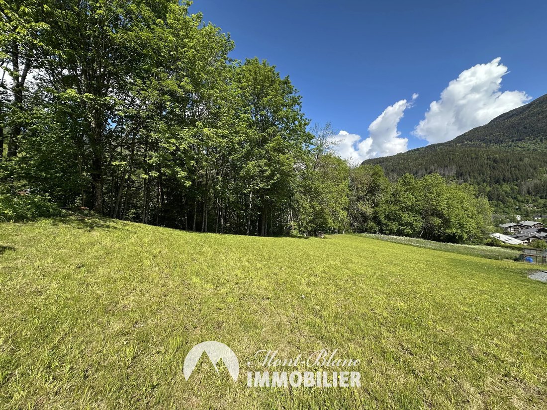 Land in Les Houches, Auvergne-Rhône-Alpes, France 1 - 18064484