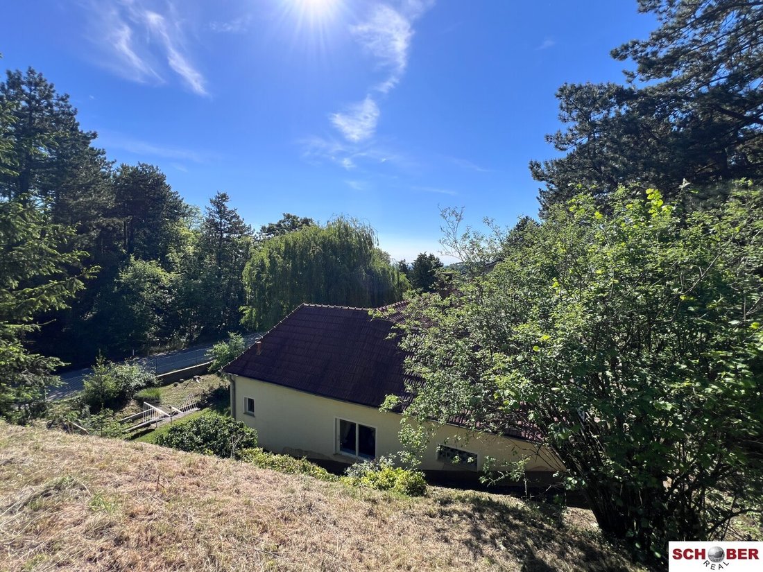 House in Enzesfeld-Lindabrunn, Lower Austria, Austria 5 - 18061616