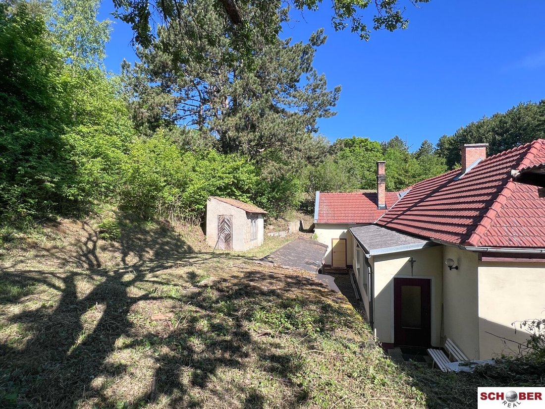 House in Enzesfeld-Lindabrunn, Lower Austria, Austria 4 - 18061616