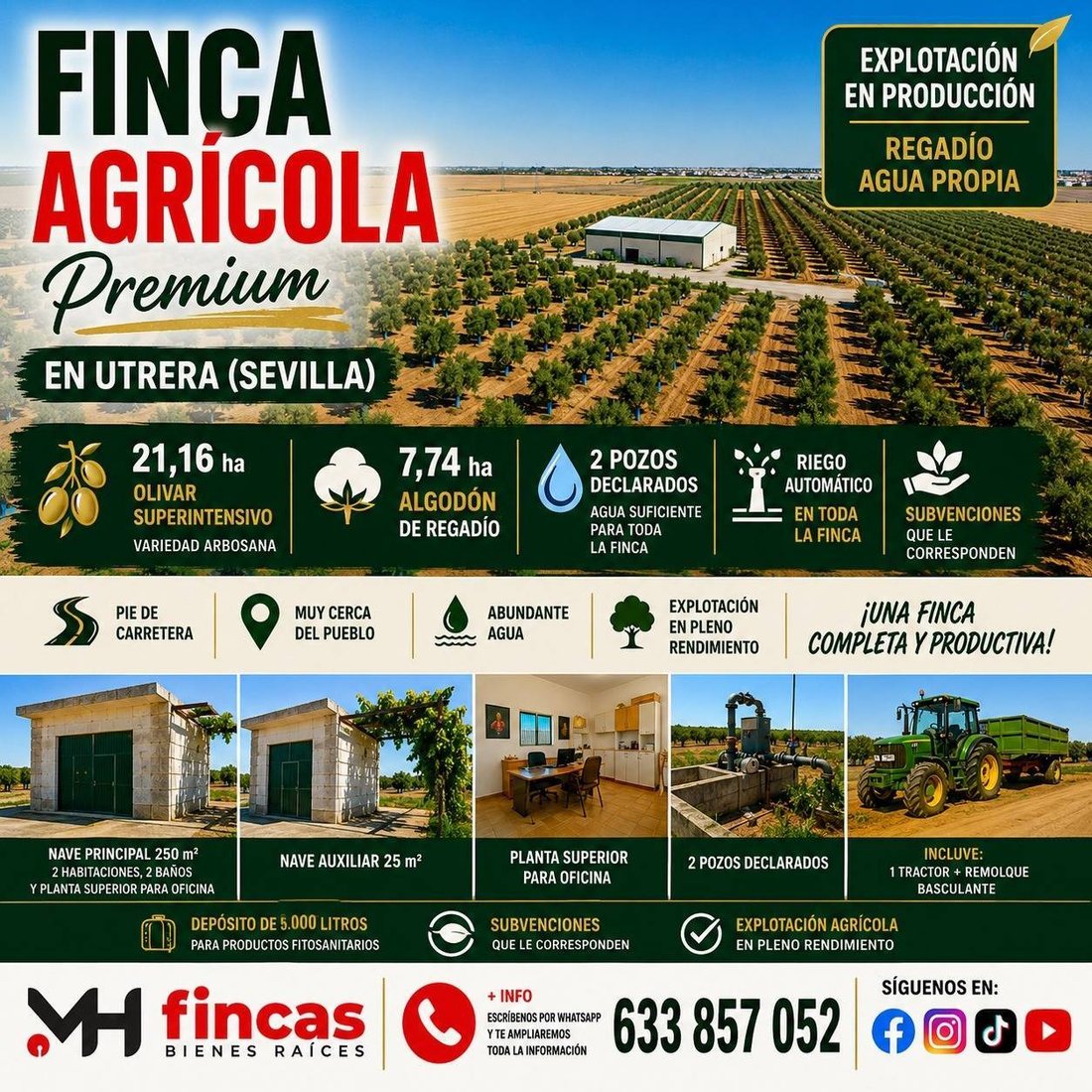 Land in Utrera, Andalusia, Spain 1 - 18049890