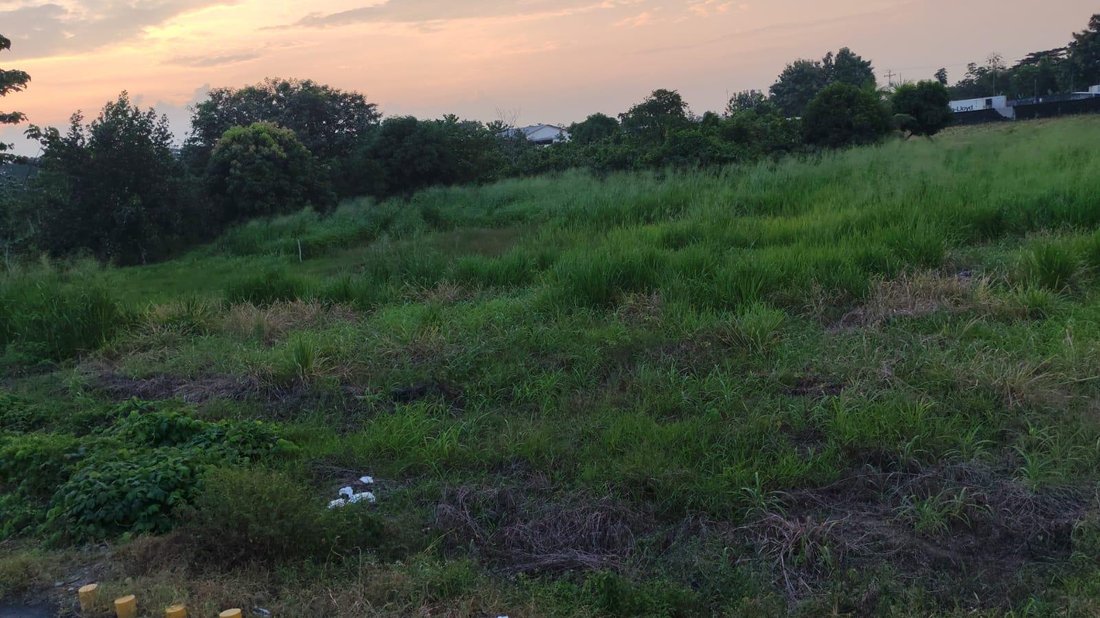 Land in Quevedo, Los Rios, Ecuador 4 - 18064538