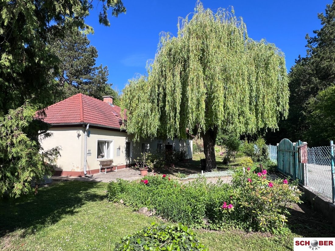 House in Enzesfeld-Lindabrunn, Lower Austria, Austria 1 - 18061616