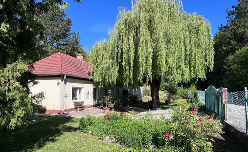 Maison à Enzesfeld-Lindabrunn, Basse-Autriche, Autriche 1