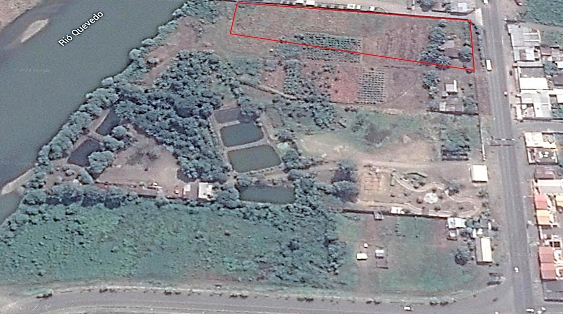 Land in Quevedo, Los Rios, Ecuador 1 - 18064538