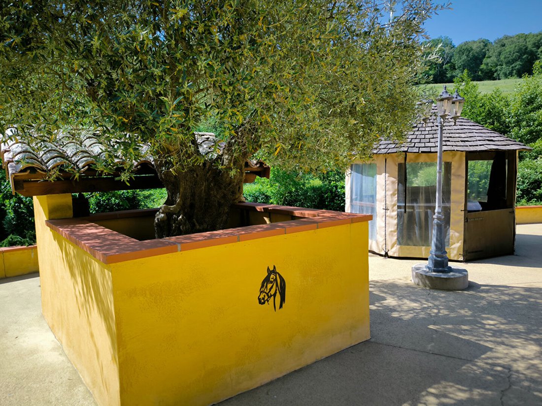 Villa in Arrondissement of Foix, Occitania, France 5 - 18064880
