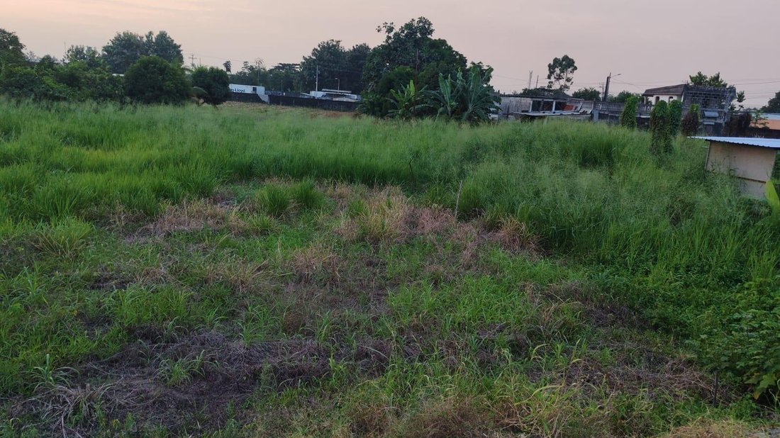 Land in Quevedo, Los Rios, Ecuador 3 - 18064538