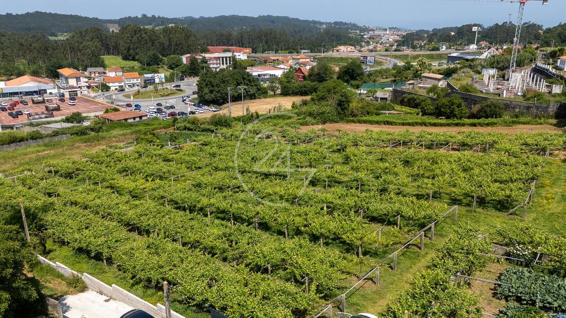Finca in Adina, Sanxenxo, Spain 2 - 18062613