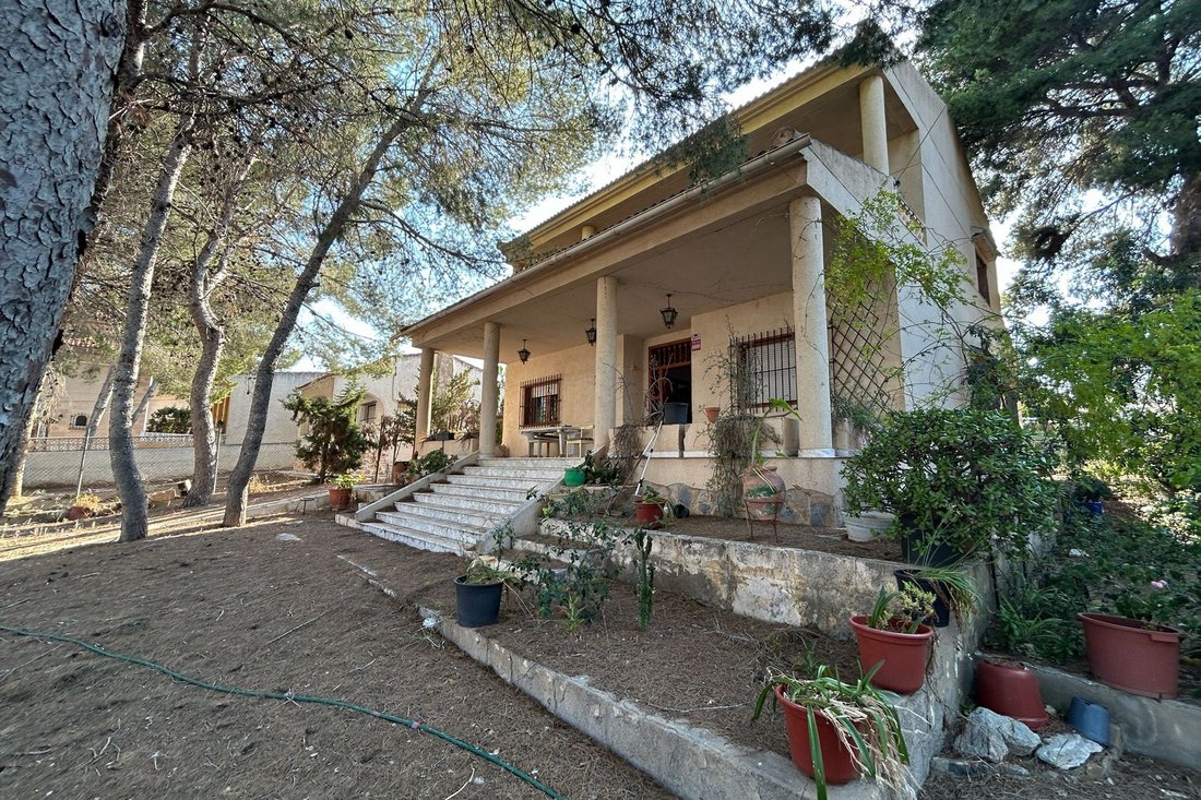 Villa à Torrevieja, Valence, Espagne 1 - 18064401