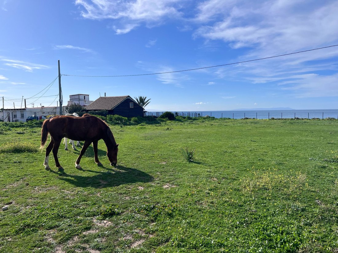 Land in Tarifa, Andalusia, Spain 5 - 18062822