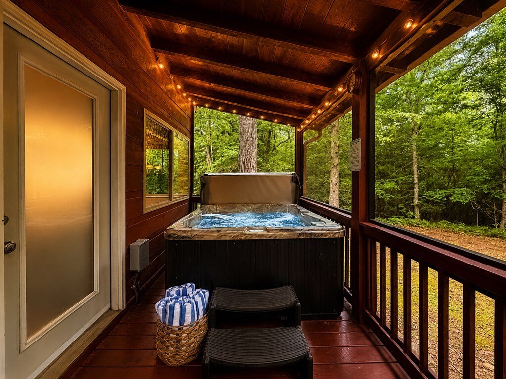 House in Mineral Bluff, Georgia, United States 2 - 18063206