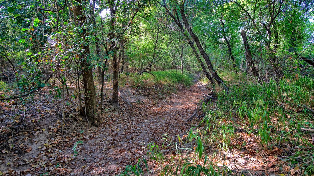 Land in Bowie, Texas, United States 2 - 18062008