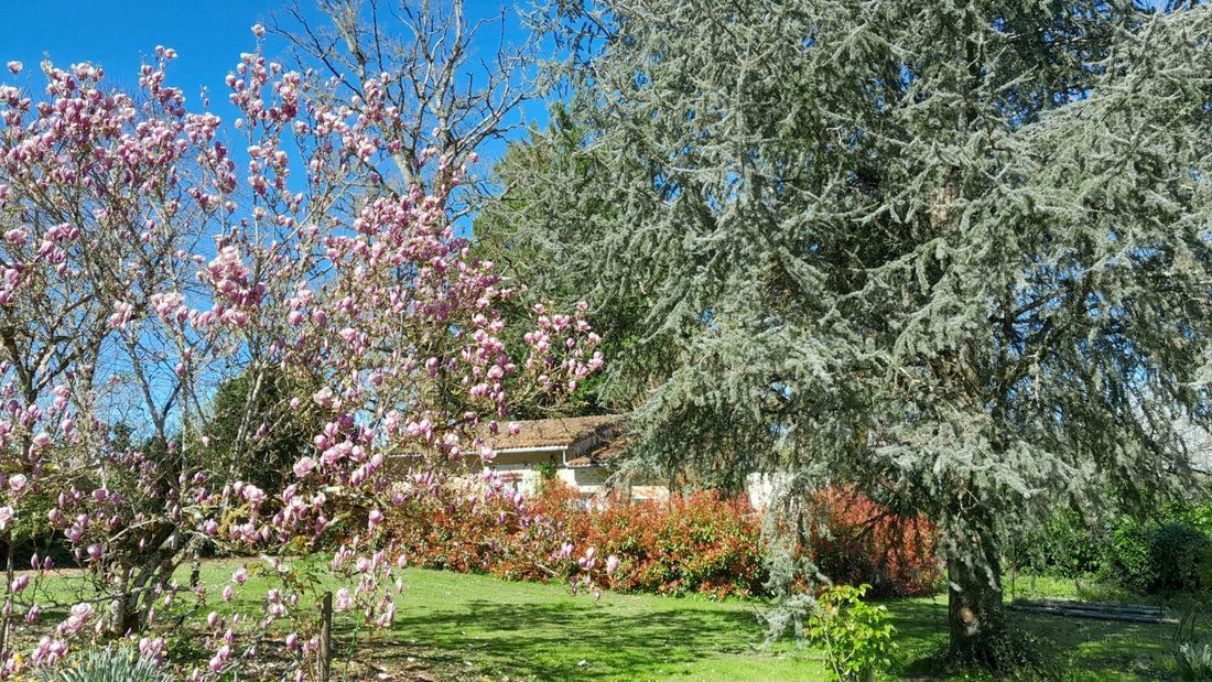 House in Condac, Nouvelle-Aquitaine, France 4 - 18063432