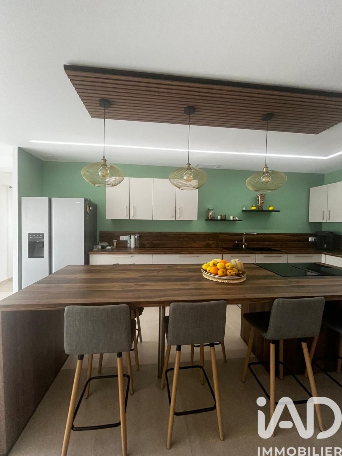 House in Monts, Centre-Val de Loire, France 4 - 18065276