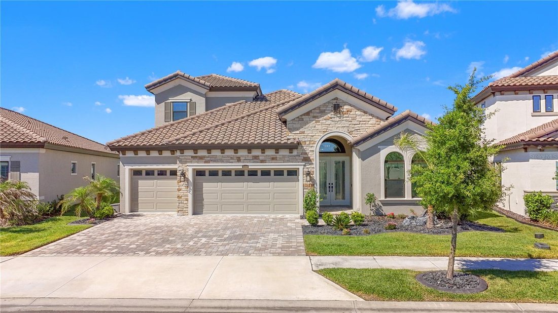 House in Wesley Chapel, Florida, United States 3 - 18063138