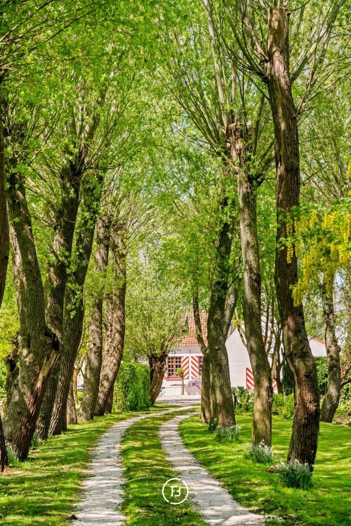 House in Damme, Flanders, Belgium 4 - 18062924
