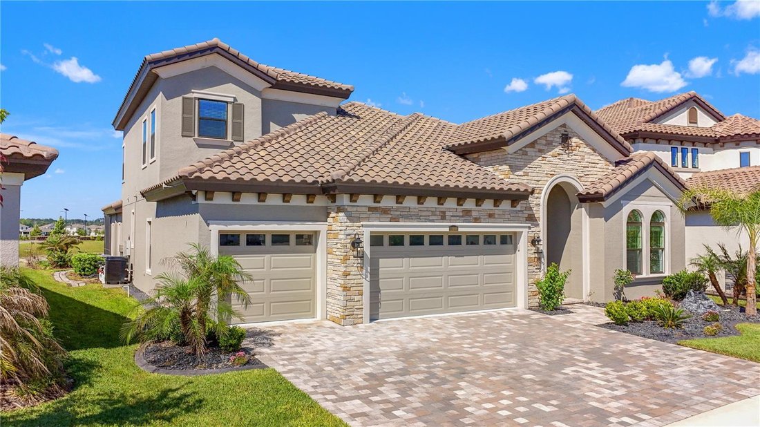 House in Wesley Chapel, Florida, United States 4 - 18063138