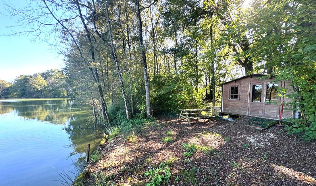 Casa en Le Vigeant, Nueva Aquitania, Francia 4 - 18063674