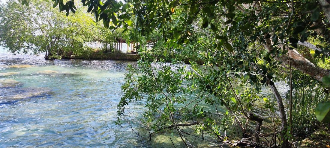 Land in Bacalar, Quintana Roo, Mexico 2 - 18065477