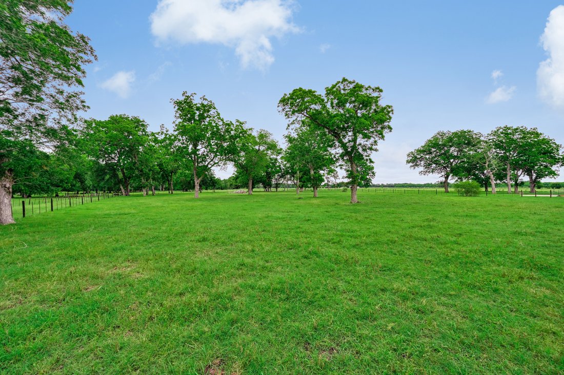 Farm Ranch in Bastrop, Texas, United States 4 - 18061731
