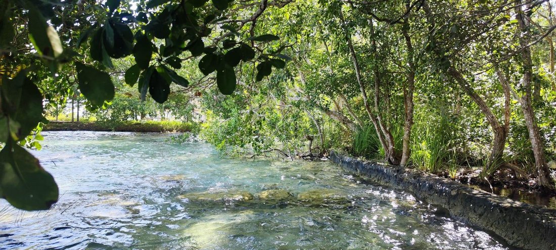Land in Bacalar, Quintana Roo, Mexico 3 - 18065477