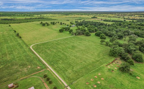 Azienda agricola a Bastrop, Texas, Stati Uniti 1
